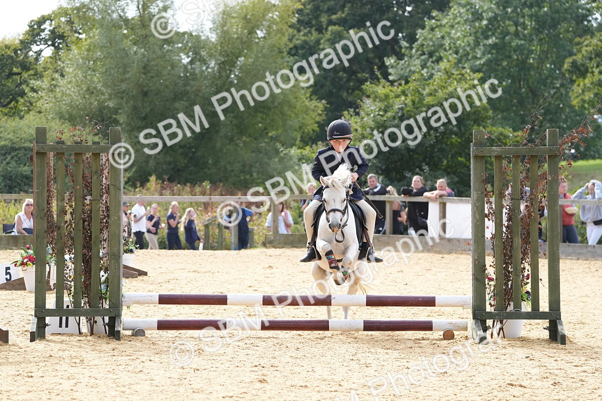 SBM_68514 - J3 - Mini Tour Junior Pony 40cm Championship
