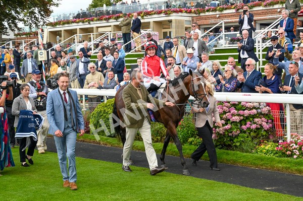 230824-Race 4-Bradsell-9062 - Race 4 3.35pm Coolmore Wootton Bassett Nunthorpe Stakes