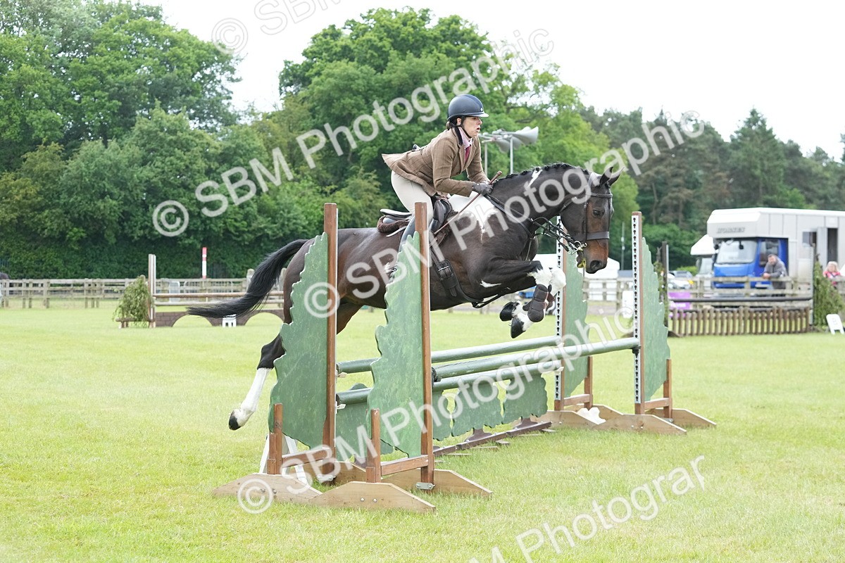 SBM_12562 - Class 97-98 - LIHS BSHA Rising Star Working Show Horse Hunter