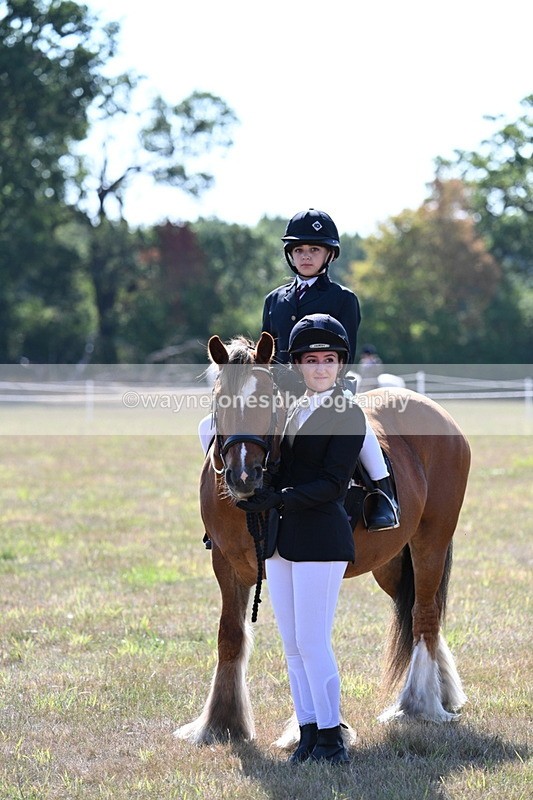 WJ7_3199 - Class 8 Ridden Tack & Turnout