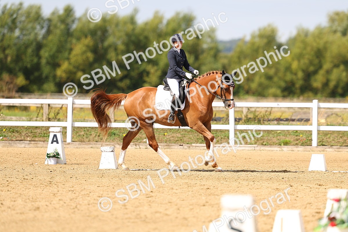 SBM_012018 - Class 2 - Prelim 19 11.39-12.56