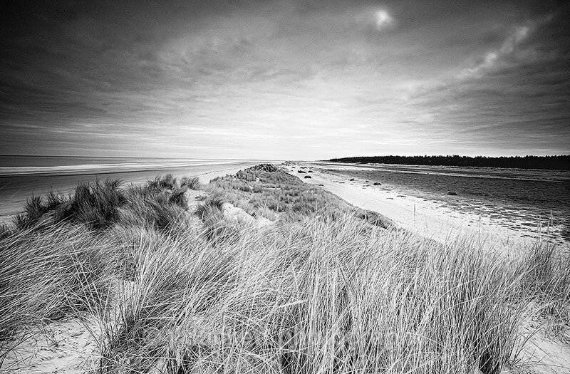 Holkham Dune