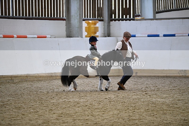WJ5_6654 - Class 10 Childs Pony