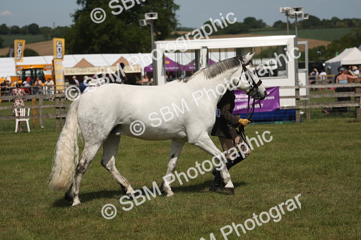 SBM_07626 - Class 26-30 - Mountain and Moorland Ridden