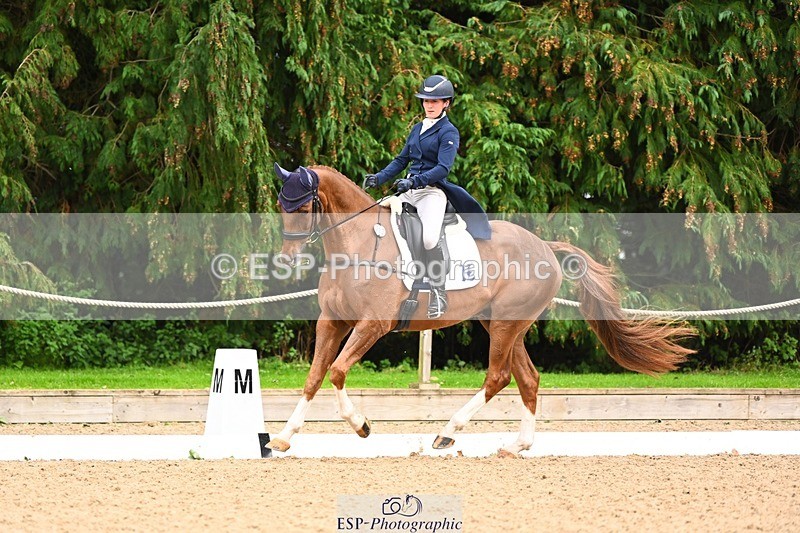 231020-153047-11843 - 213-MGH.HILDARE.HARLEQUIN-Danielle.Mccormack-DR