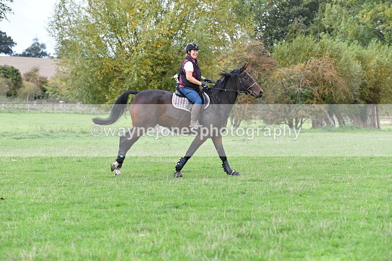 WJ5_9664 - Time 13:03 to 13:25