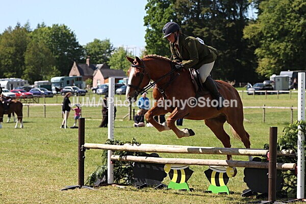 IMG_4575 - Working Hunter