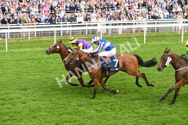 yr21052022r3-14 - Race 3: 3:30pm William Hill Best Odds Guaranteed Stakes