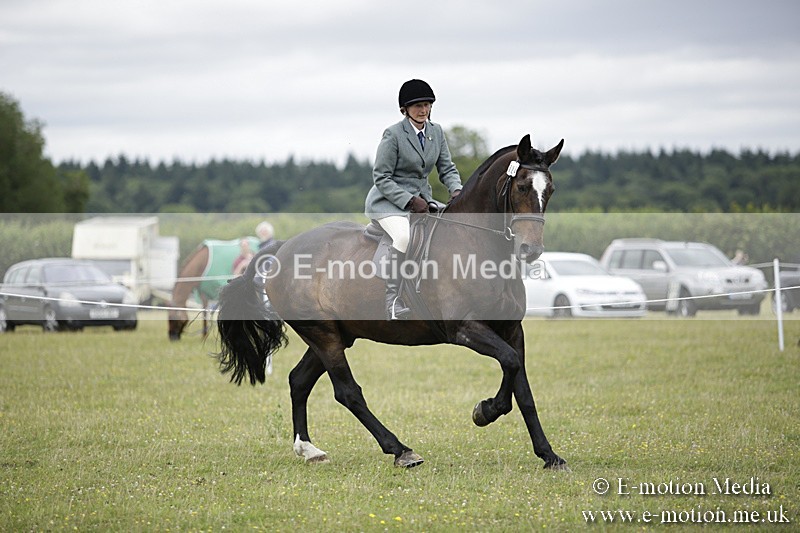 BVR160717-1551 - Ring 1 BVRC Show 16/07/17