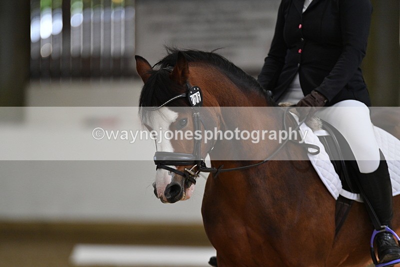 WJ5_7324 - Class 2 Intro Test 2