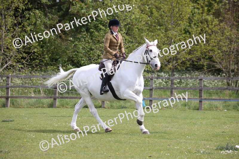 20260426-4358 - Class 34 - Best Riding Horse Over 14.2hh