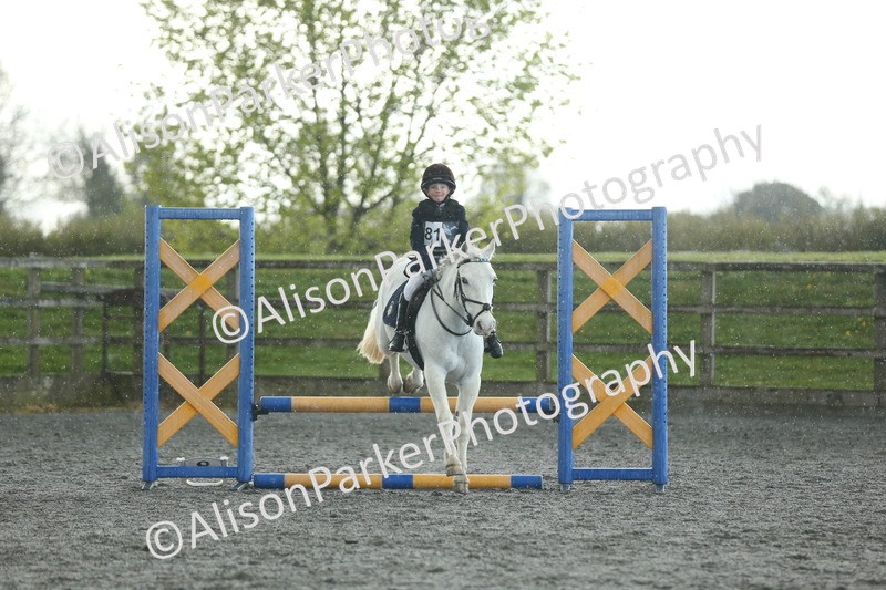 20260412-1938 - Show Jumping