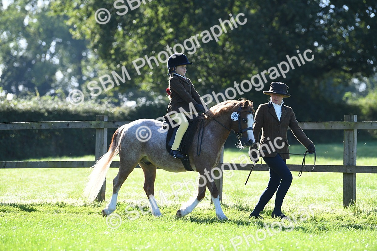 SBM_36700 - S18 - Novice & Newcomers Lead Rein Pony