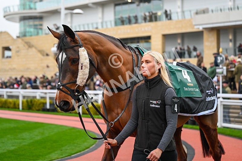 131224-Race 4-Ballygrifincottage-9711 - Race 4