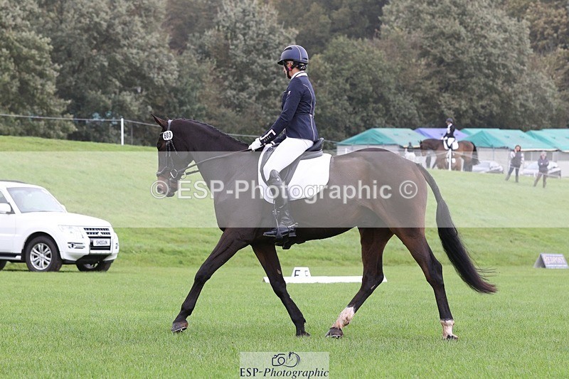 231019-102557-02315 - 603-KILBUNNY.BLUE.BIRD-Claire.Deuten-DR