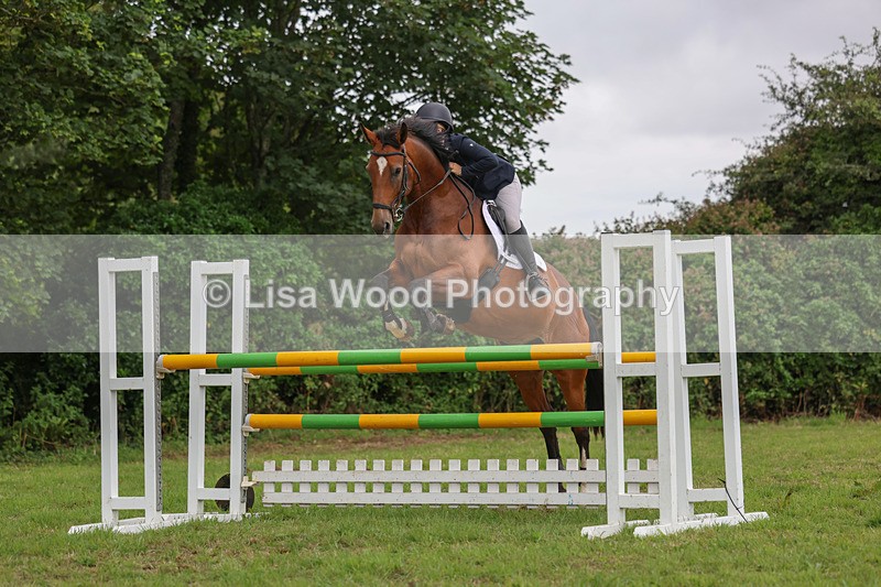 3E7A8212 - Class 7: Senior Newcomers/1.10m open