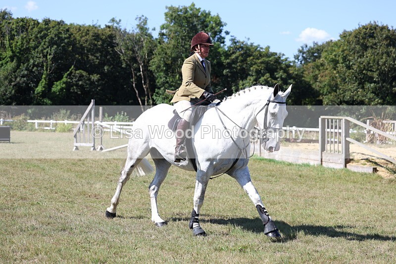3E7A6237 - Class 6: Working Hunter 1m