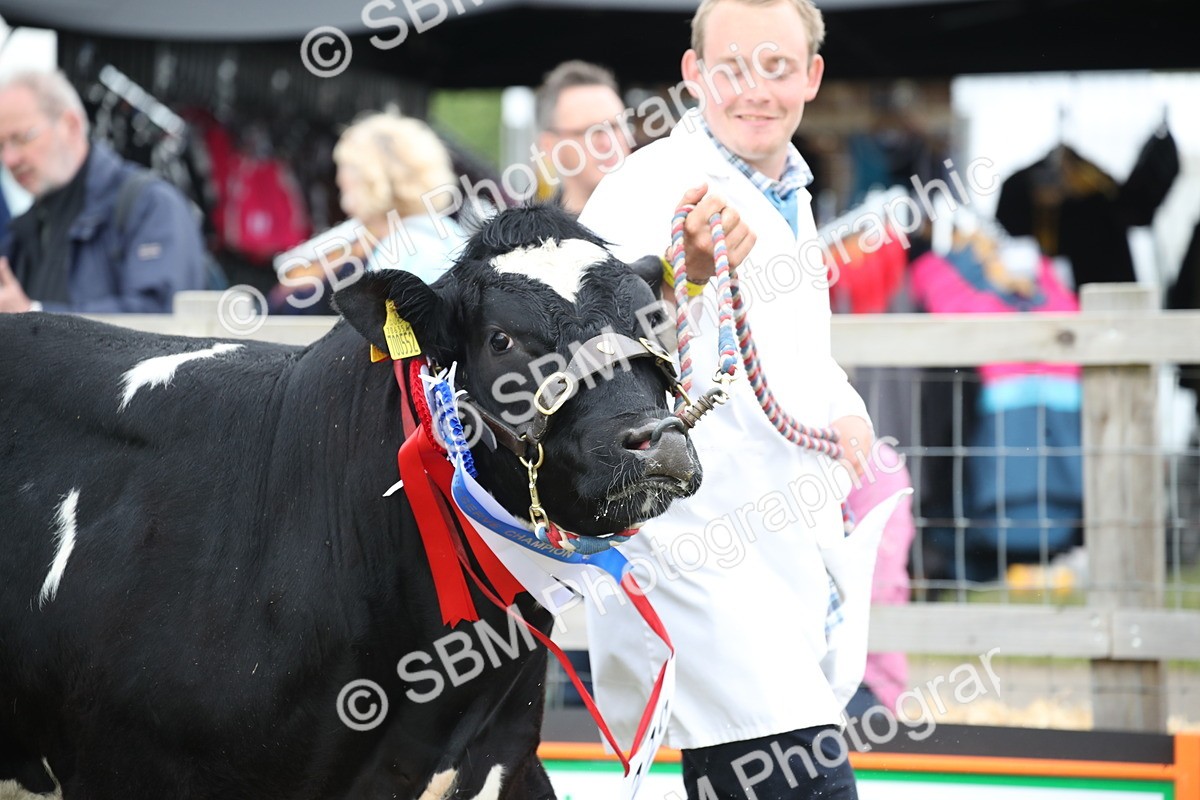 SBM_07823 - Grand Parade