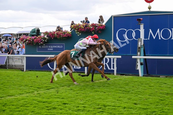 230824-Race 2-Vauban-8953 - Race 2 2.25pm Weatherbys Hamilton Lonsdale Cup Stakes