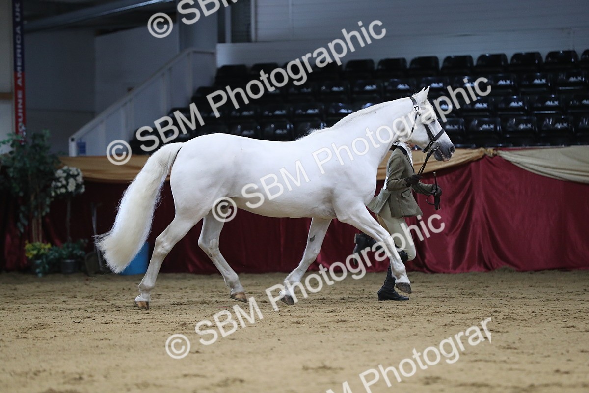 SBM_04405 - Class 7R Regional - IH Diamond