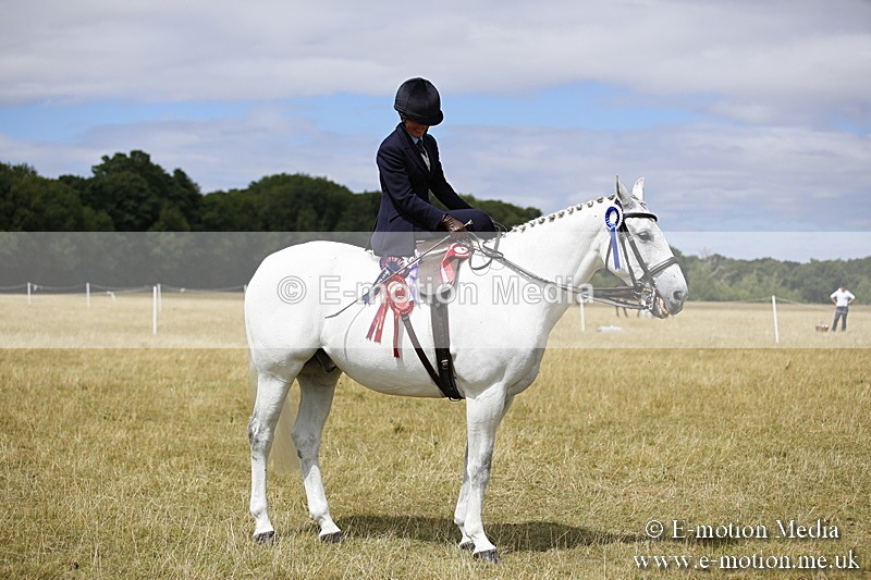 _C7A0309 - Side Saddle Classes BVRC Show 2018