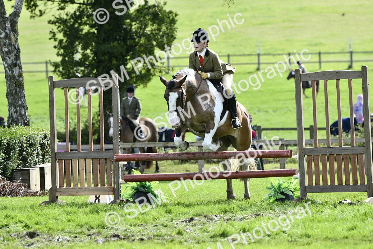 SBM_45693 - S33 - Working Hunter Pony