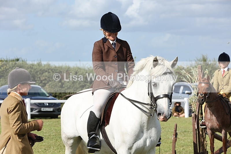 JPP_2983 - Class 20: Working Hunter 70cm