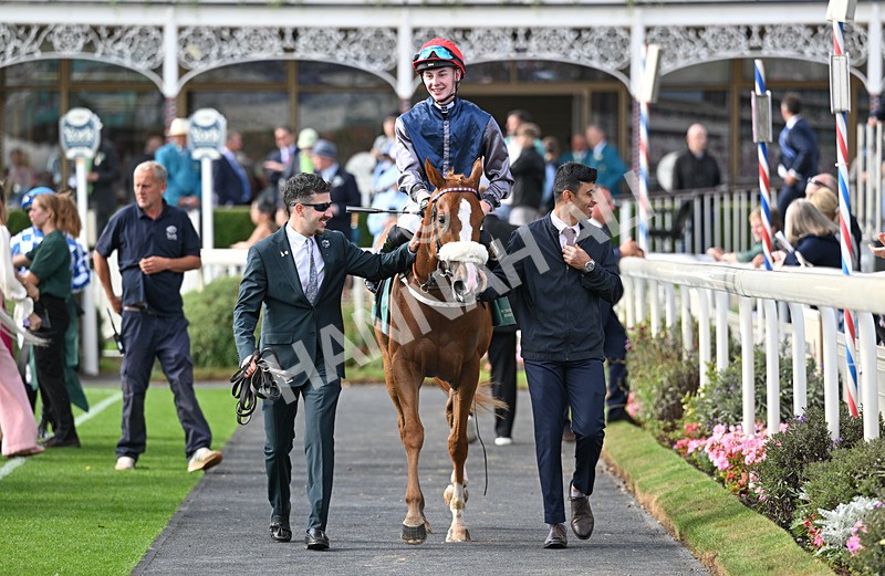 190826-229 Miss Yechance - Race 6 16.45pm Irish Thoroughbred Marketing Handicap