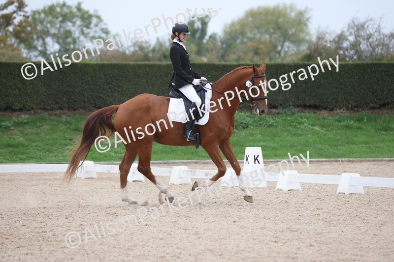 20251011-0549 - Class 6 - Elementary 1