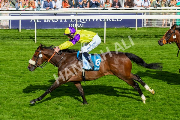 290723-Race 6-Dark Moon Rising-0961 - Race 6 5.10pm Betting Better With Sky Bet Handicap