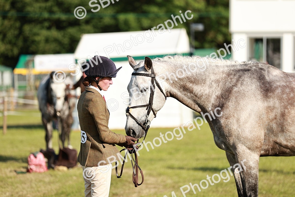SBM_20037 - Class 115-116 - LIHS BSHA Rising Star Working Hunter & Show Horse