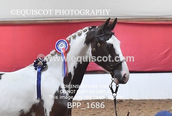 BPP_1686 - MORNING 9AM - 12PM