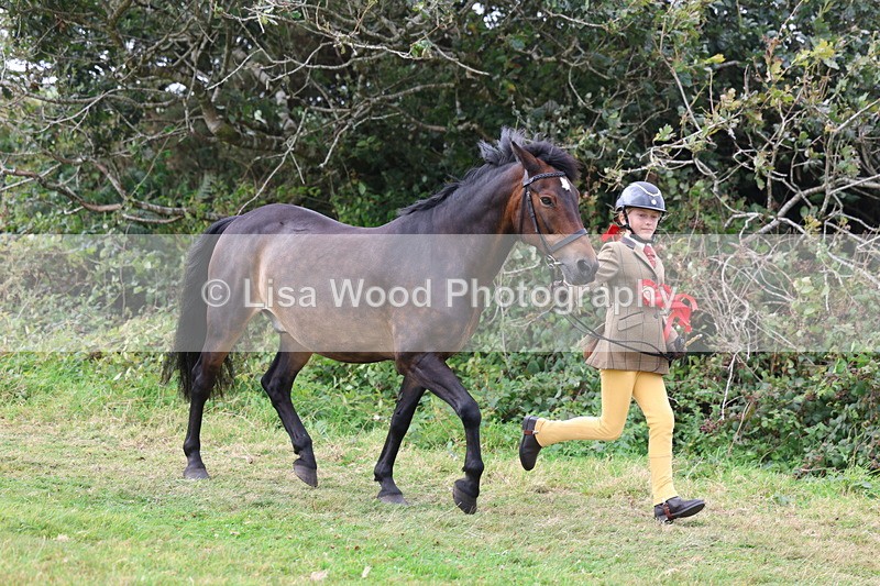 3E7A5696 - In Hand Championship