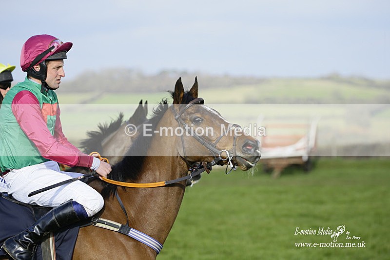 PtP 060322 487 - Blackmore & Sparkford Vale Hunt PtP 06/03/22