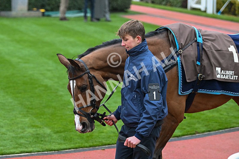 151124-Race 5-Paddock-Valgrand-8323 - Race 5