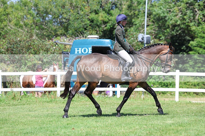 3E7A9136 - Working Hunter Championship