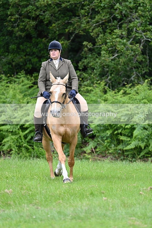WJ7_2060 - Class 12A Coloured Class