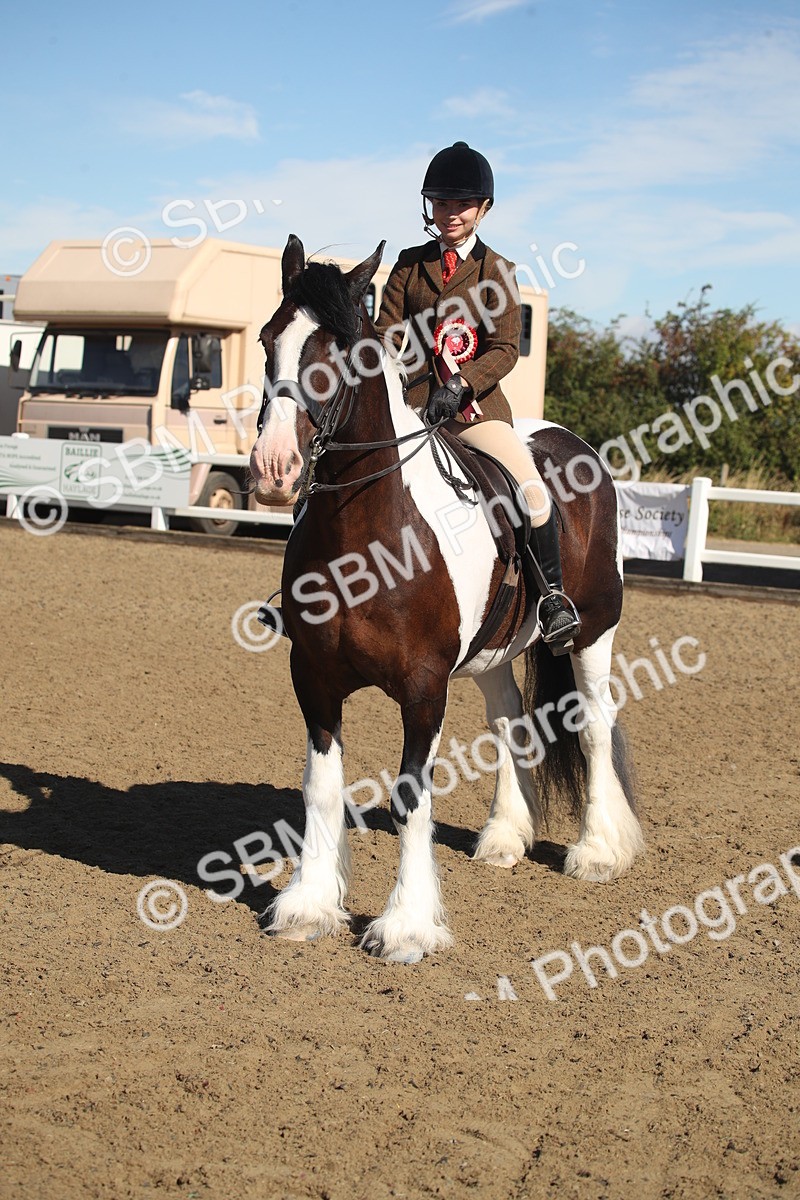 SBM_12776 - Class 504b - Junior Working Veteran - 40cm (20+)