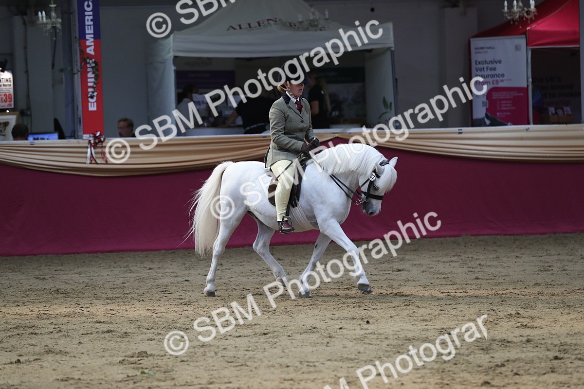 SBM_08405 - Class 11R Regional Ridden Veteran