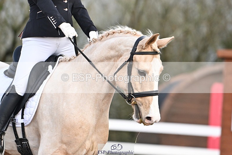 240218A-094322-04825 - 176-Kim.Walker-Dom.Perignon