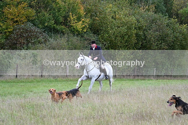 WJ7_3561 - Camera 1 Line 1