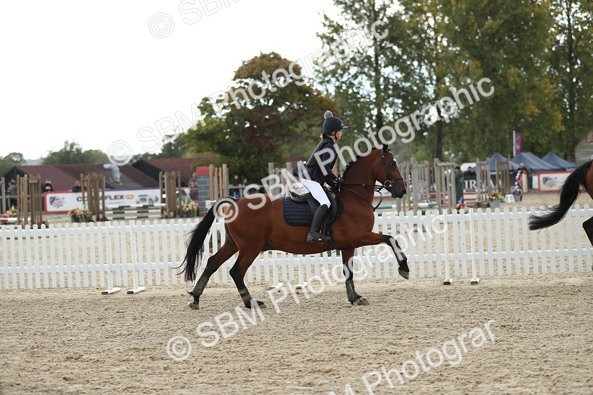 SBM_40533 - J21 - Junior Horse 60cm Championship