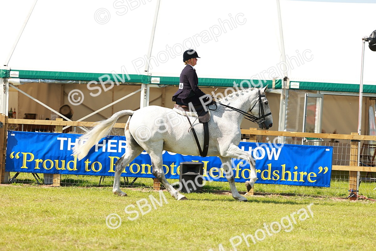 SBM_13204 - Class 70-71 - Side Saddle