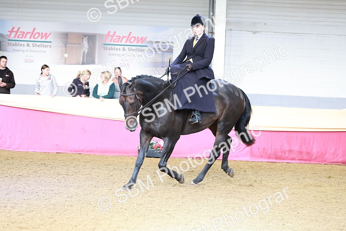 SBM_11946 - Class 102 - Equitation (Best Rider) Adult