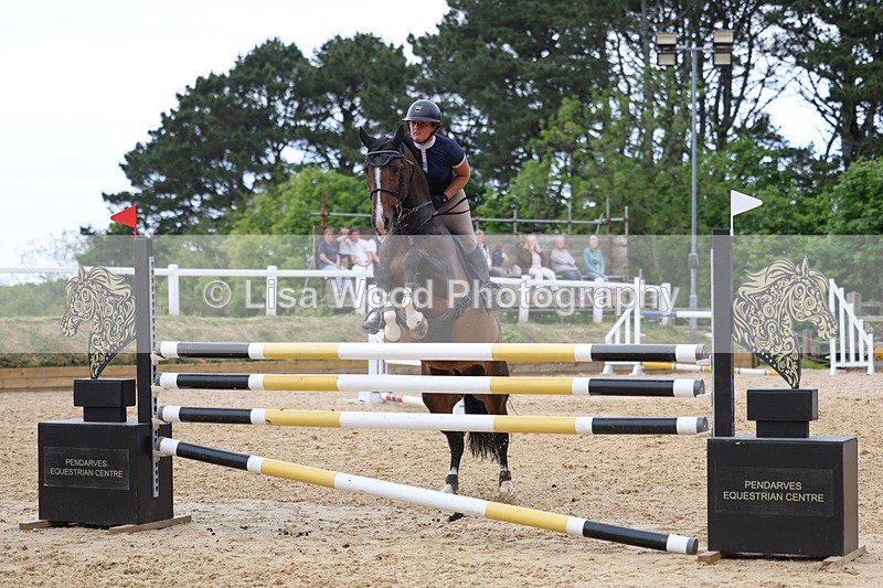 3E7A7916 - Class 8: Senior Foxhunter/1.20 open