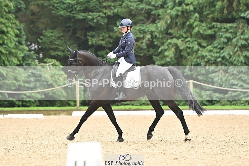 240811-120318-05330 - 118-Katie.Kneen-Springtime.Evergreen