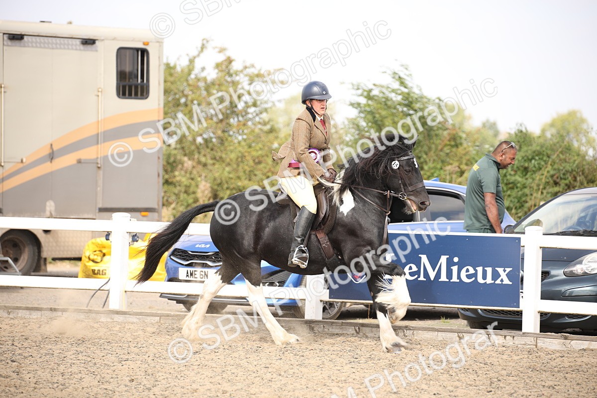 SBM_14249 - Class 407a - Working Veteran 60cm (15-19