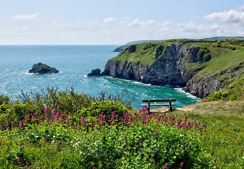 BX45 - Berry Head - Greetings Cards Brixham Broadsands and Kingswear