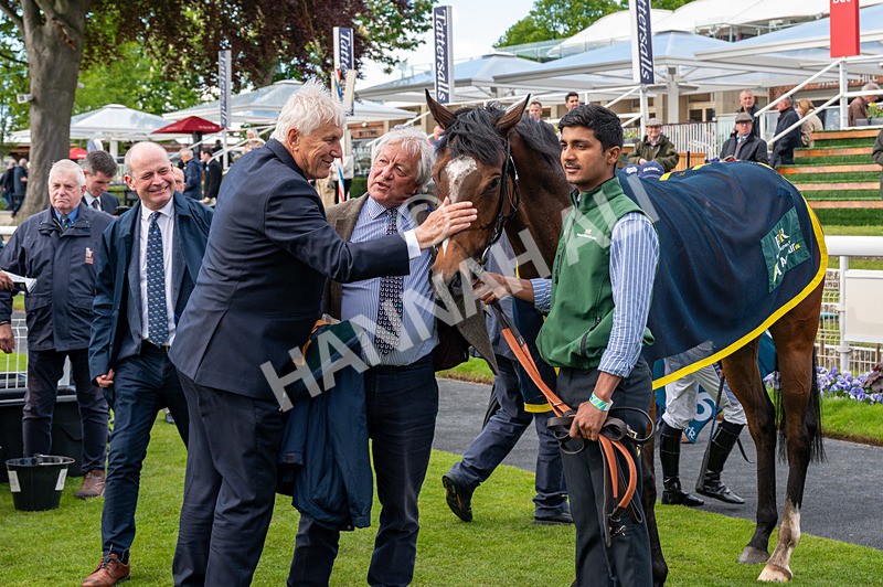 130526-Race 6-Startled-0447 - Race 6 4.40pm Conundrum HR Consulting Handicap