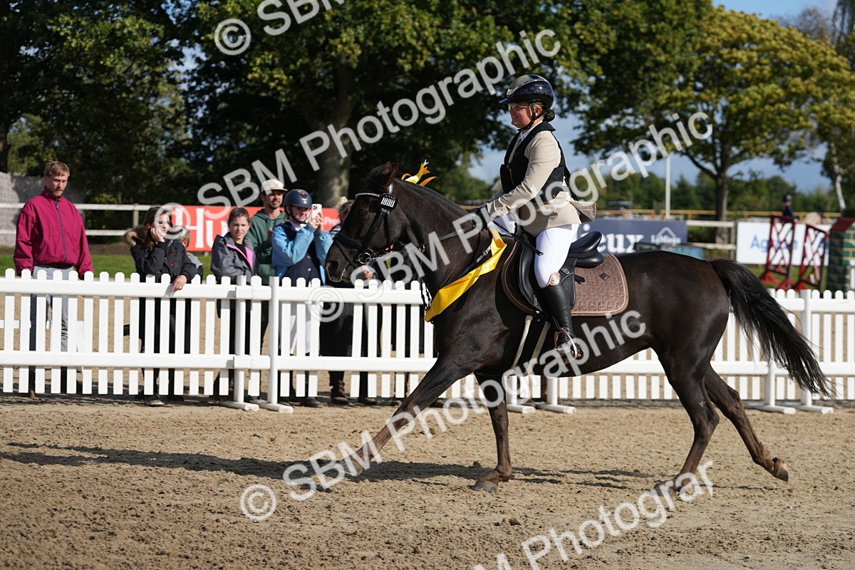 SBM_48630 - J7 - Junior Pony 60cm Championship
